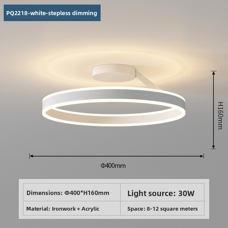 Modern Dimmable LED Ceiling Light