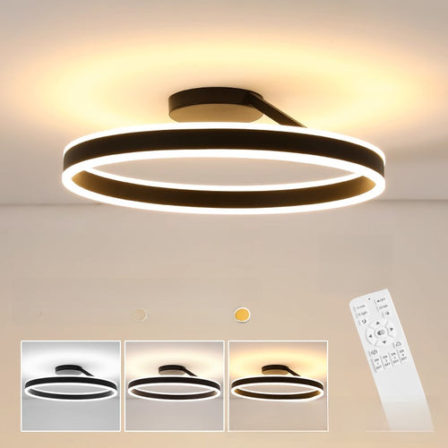 Modern Dimmable LED Ceiling Light
